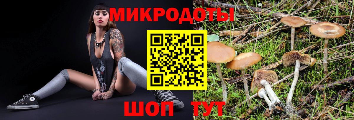 Псилоцибиновые грибы Psilocybe  Вход с VPN  наркота  Подольск 